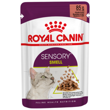 Görseli Galeri görüntüleyiciye yükleyin, Royal Canin Sensory Smell Gravy Pouch Kedi Yaş Maması 85 Gr
