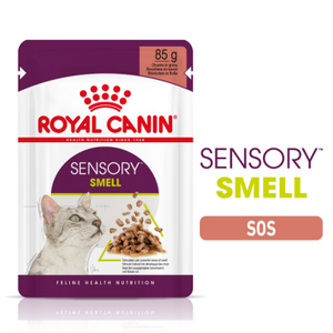 Royal Canin Sensory Smell Gravy Pouch Kedi Yaş Maması 85 Gr