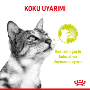 Royal Canin Sensory Smell Gravy Pouch Kedi Yaş Maması 85 Gr